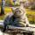 galya.tim