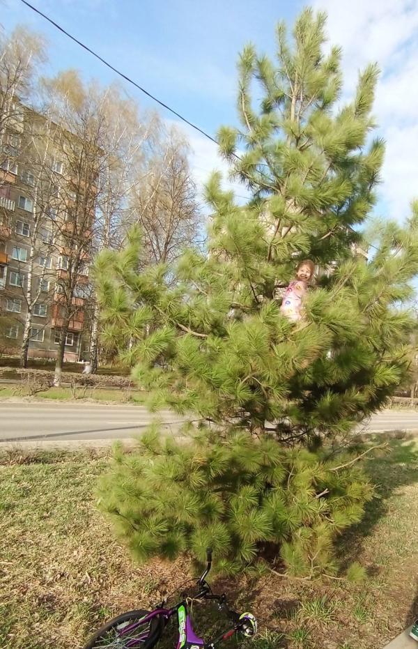 post image 5