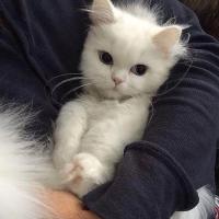♥️♥️♥️