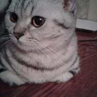 Катерина 