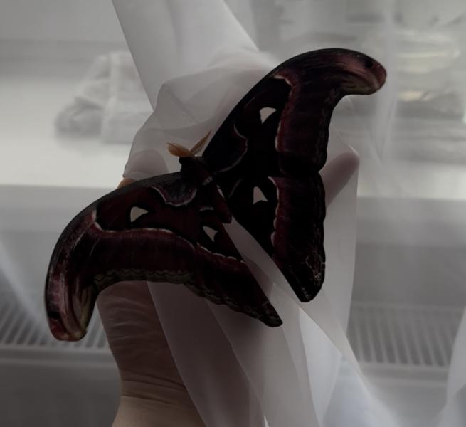 post image 5