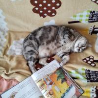 Кристина