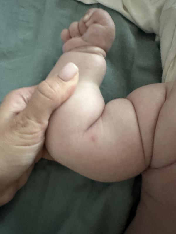 post image 4