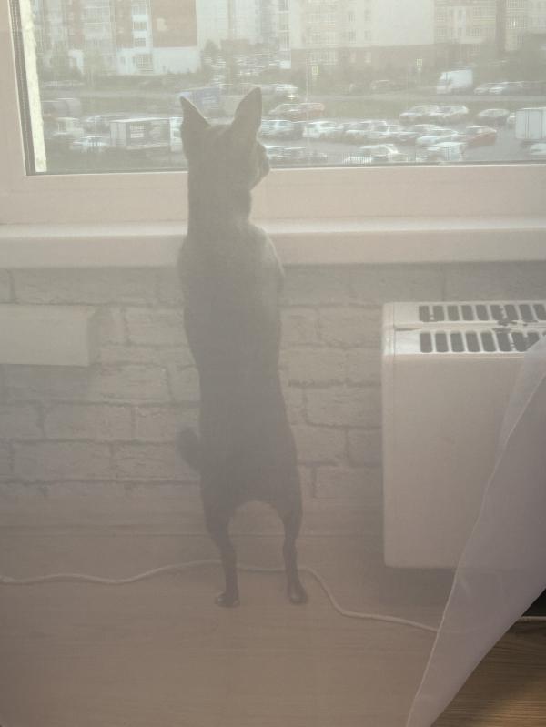 post image 2
