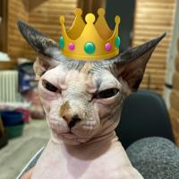 Буковка Ю 