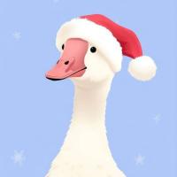 Екатерина ✨