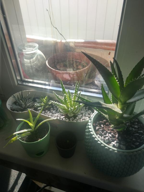 post image 4