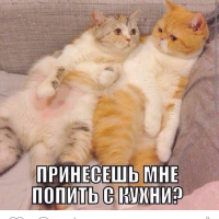 Галия
