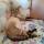 ksenia.fai97