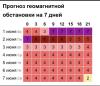стикер