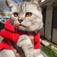 Раяна 🥰