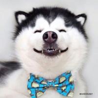 Катерина 