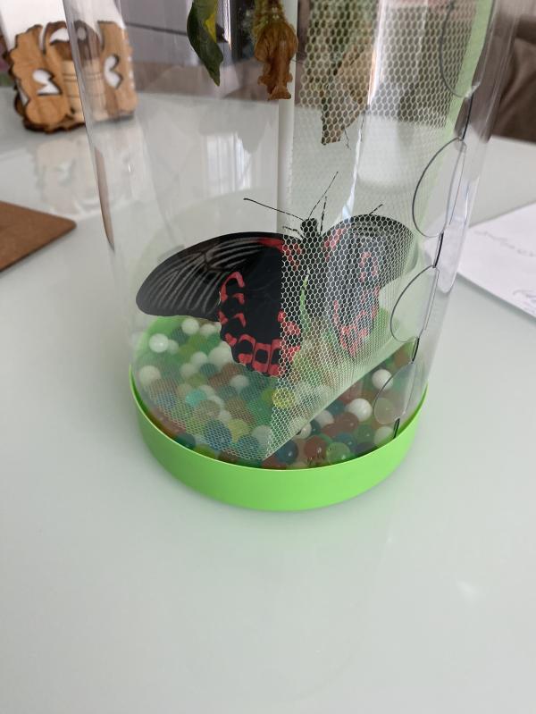post image 5