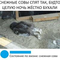 Наталья