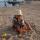 salta89-