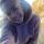 roza_vetrov228