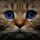 mariya_forever