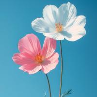 ‏مدينة بنت سلام