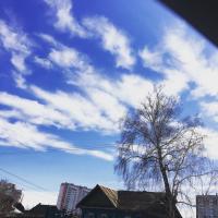одььт