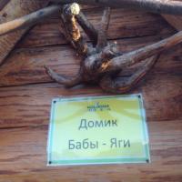 Гульнара Харитонова