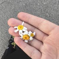..🦋