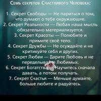 Сашуля 