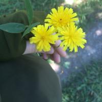 Батуль