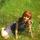 anna100180