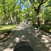 Алеся