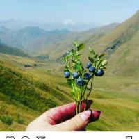 Кузя 