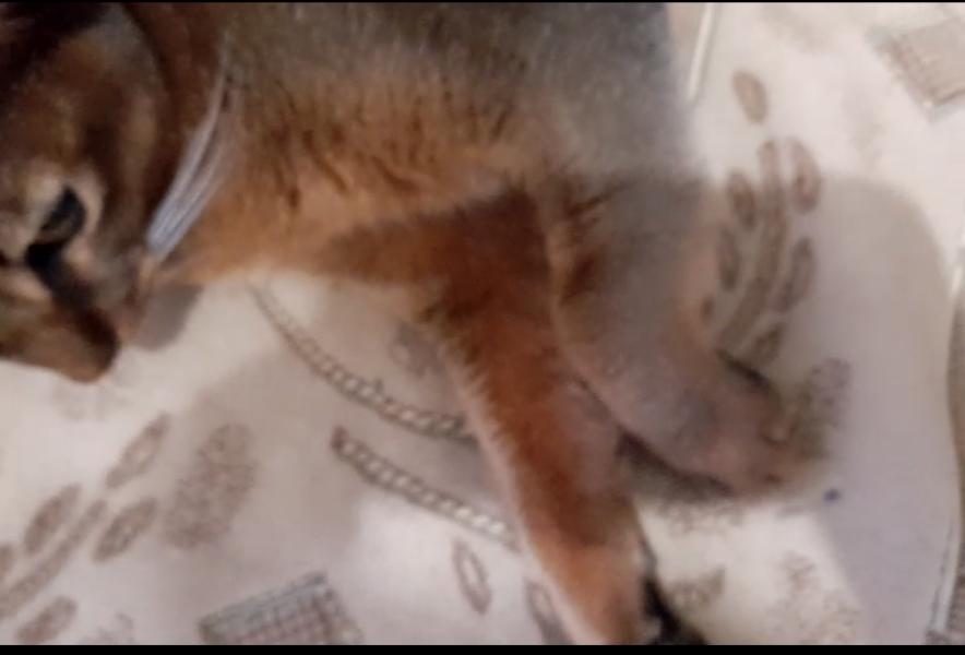 post image 4
