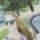 darya_laz