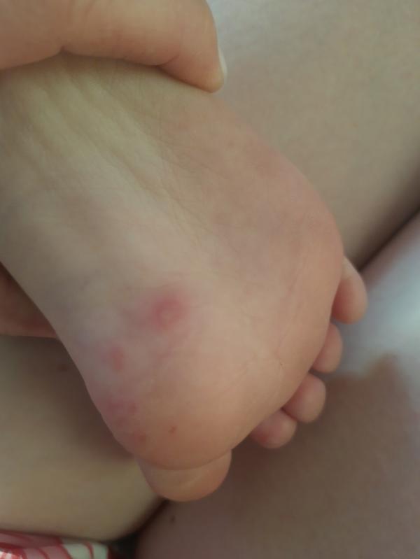 post image 4