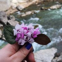 Луноликая 🦄