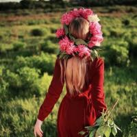 🌺🌺🌺