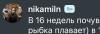 стикер