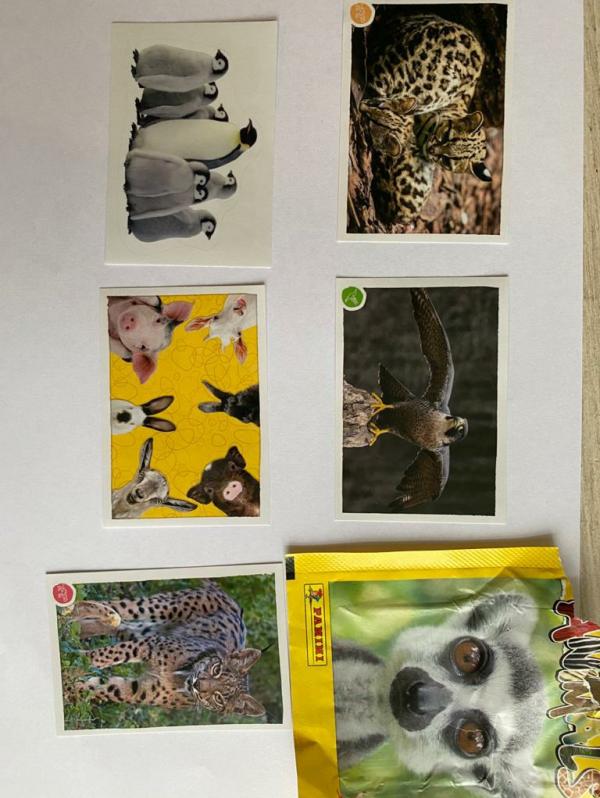 post image 4