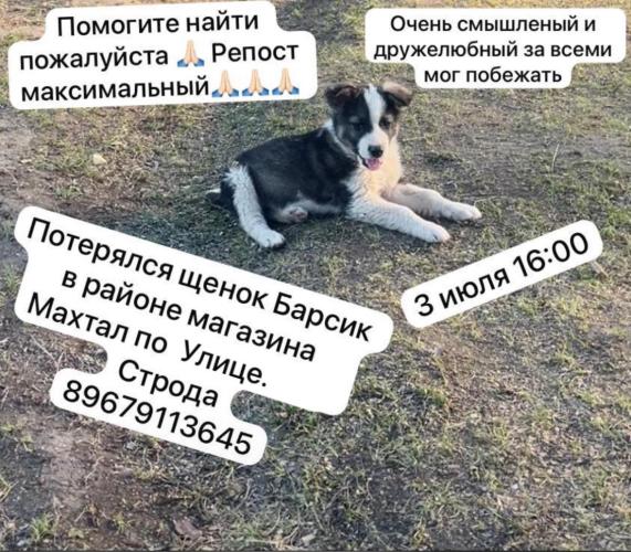 post image
