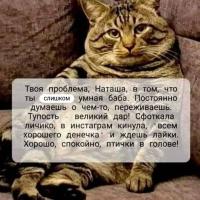 Mmammajmsa