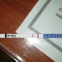 Незнакомка 