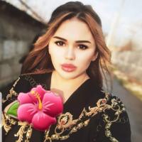 Дами