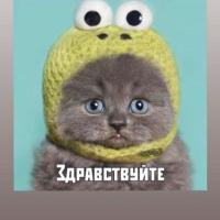 Дарья