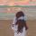 lesya_i_gv