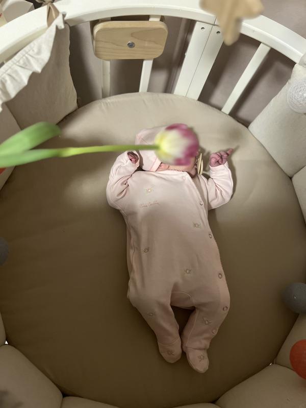 post image 4