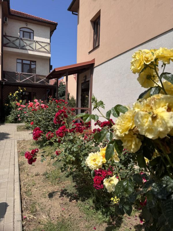 post image 5