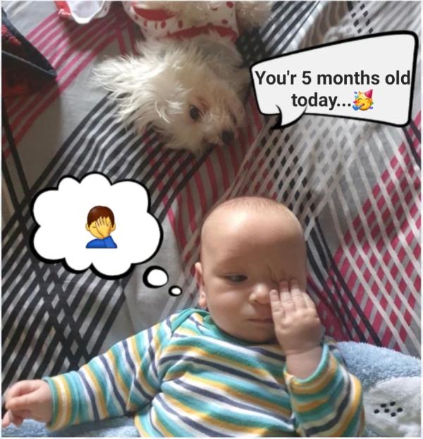 post image 4