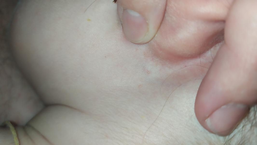 post image 5