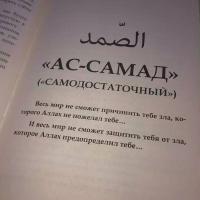 Временная гостья 