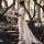 ana_lunya