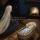salima_safari